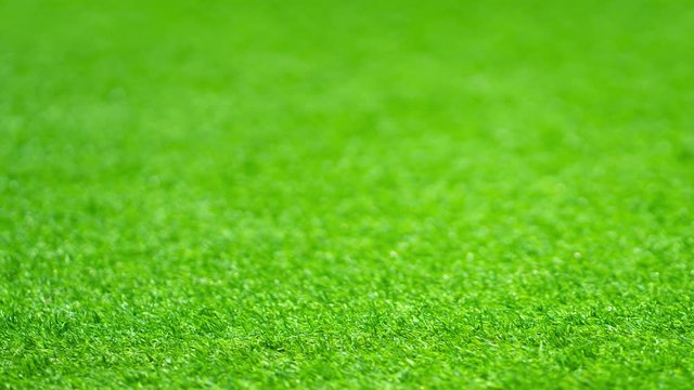 pan shot camera on green grass background
