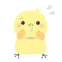 鼻水が出て焦るひよこ