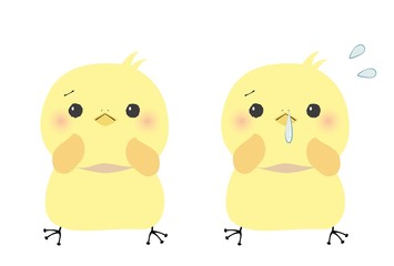 困り顔のひよこと鼻水が出て焦るひよこセット