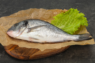 Raw Dorada fish  for cooking