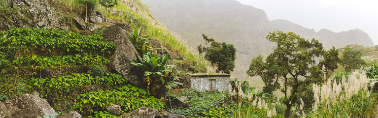 Santo Antao mountains with small cascade farm of lotuses