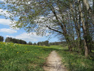 Wanderweg