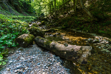 Nature reserve Aachtobel