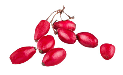Barberry isolated on white background with clipping path