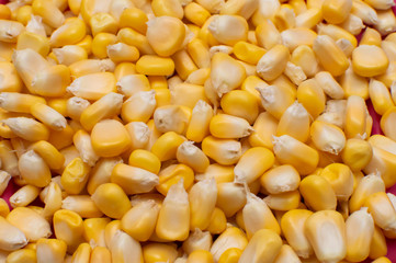 Boiled corns spread across in a container