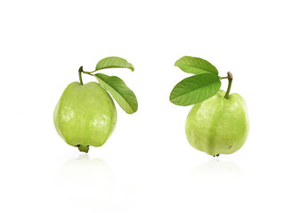 Fresh guava fruit isolated on the white background.