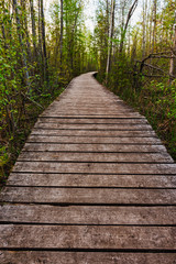 Fototapeta premium Menzel Centennial Conservation Area in rural Ontario Canada with sunsets, lakes, forest and beautiful landscapes of the natural world.