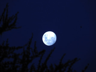 Fototapeta na wymiar Full moon in Mpumalanga province of South Africa