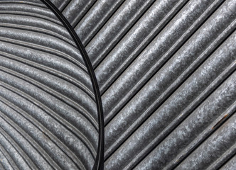 Abstract Architecture Of Curved Mirror And Shutters