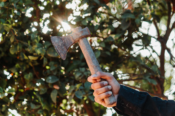 Closeup shot of hand holding an axe in forest