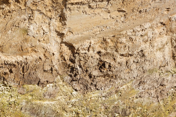 Transverse section of the soil. Background image. Close-up Texture