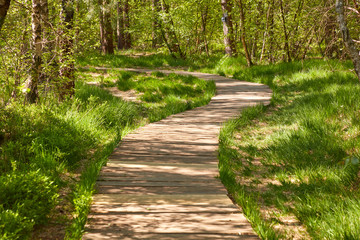 Holzweg durch das Venner Moor, einem Naturschutzgebiet in der Gemeinde Senden in...