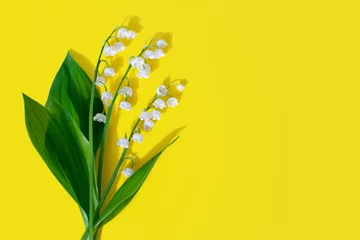 Fotobehang White lily of the valley flowers, green leaves, yellow background closeup, beautiful may lily flower bouquet, convallaria majalis, spring or summer floral design, bright greeting card, text copy space © Vera NewSib