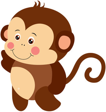 Cute baby monkey isolated on white background