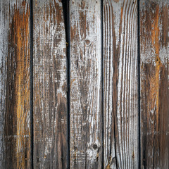 Fototapeta premium The white wood texture with natural patterns background