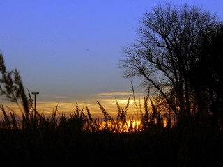 Fototapeta premium Sonnenuntergang über einer Wiese