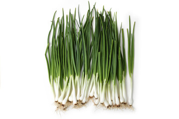 fresh green onion (shallots or scallions) on white background