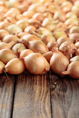 Onion on a old wooden table.