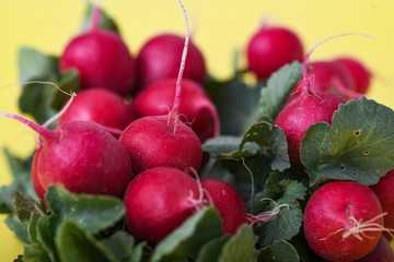 Red radishes on yellow background