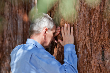 Senior businessman leaning on a tree trunk of a sequia