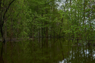shady grove flooded during the spring flood