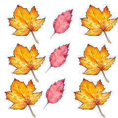 Naklejka na ściany i meble seamless pattern with autumn leaves drawing by watercolor, hand drawn elements. Leaves maple