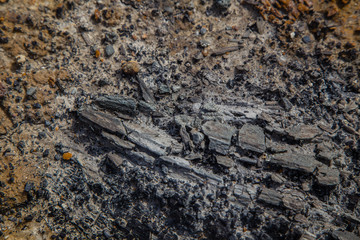 Coal lignite specimen rock sample mineral