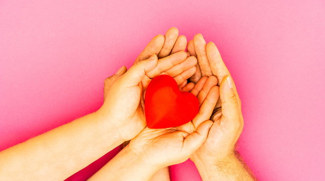 Hands holding red heart on pink background. Health care and love concept. Family insurance and csr concept. World heart day and family happiness. Wellbeing and red heart on  hands. Gratitude, be kind,