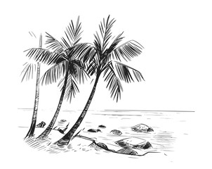 Sketch of a tropical beach with palm trees and the sea. Hand drawn illistration converted to vector