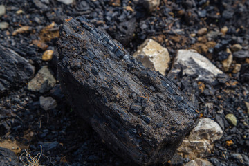 Coal lignite specimen rock sample mineral