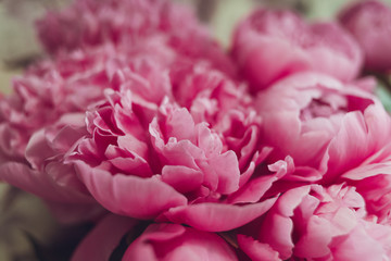 Bouquet of beautiful pink flowers