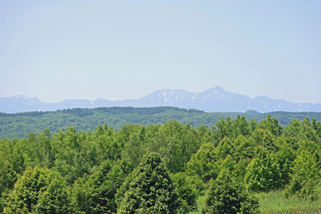 森林と山