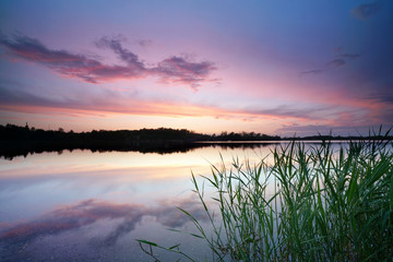 Abendrot am See mit Schilf