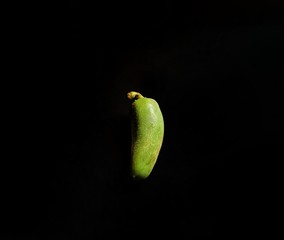 Jalapeno peppers on black background. typical Mexican food
