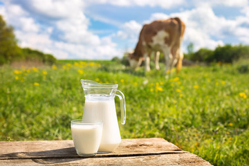 milk with cow on the background