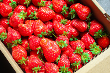 Strawberry
ripe and juicy berries
Menu concept healthy eating serving. food background top view copy space for text