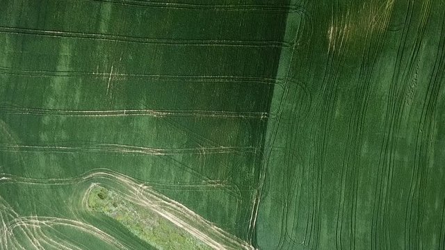agriculture field from above