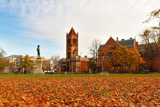 Cambridge Common