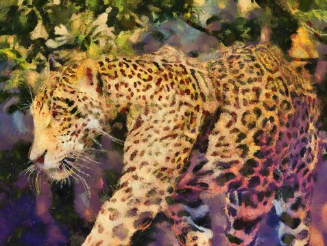 leopard Illustrations creates an impressionist style of painting.