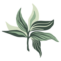 Poster with tropical leaves. Hand-drawn stylized leaves on the white background. Botanical illustration for home decor.