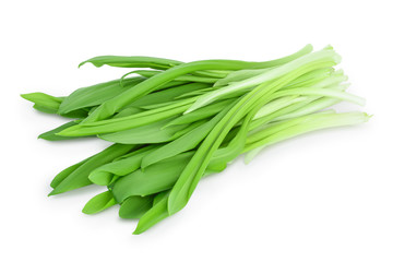 Ramson bunch vegetable isolated on white background with clipping path and full depth of field