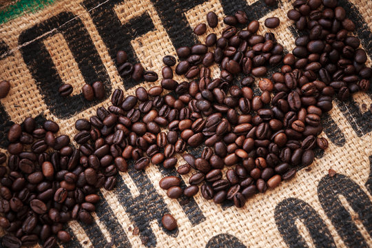 Roasted coffee beans are on jute bag fabric