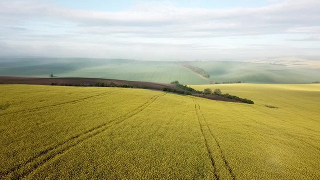 Moravian fields