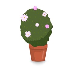 Tree in pot. Illustration of house plant. Flat design