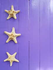 Fototapeta na wymiar starfish on wooden background