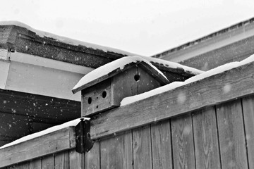 Birdhouse in the Snow