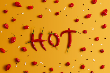 Word hot made of red spicy Mexican chili pepper of long shape isolated over yellow background. Chili spelling word. Vegetables, spices and vegetarian diet concept. Agriculture and fresh food.