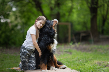 Caucasian child girl with big dog, Kid hugs Bernese Mountain Dog pet. Happiness and friendship between kid and dog