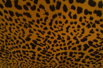 Leopard / tiger fur texture