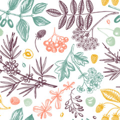 Wild berries sketch seamless pattern. Hand drawn berry vintage vector background. Summer fruit backdrop - strawberry, cranberry, cherry, bilberry, blueberry, and other.